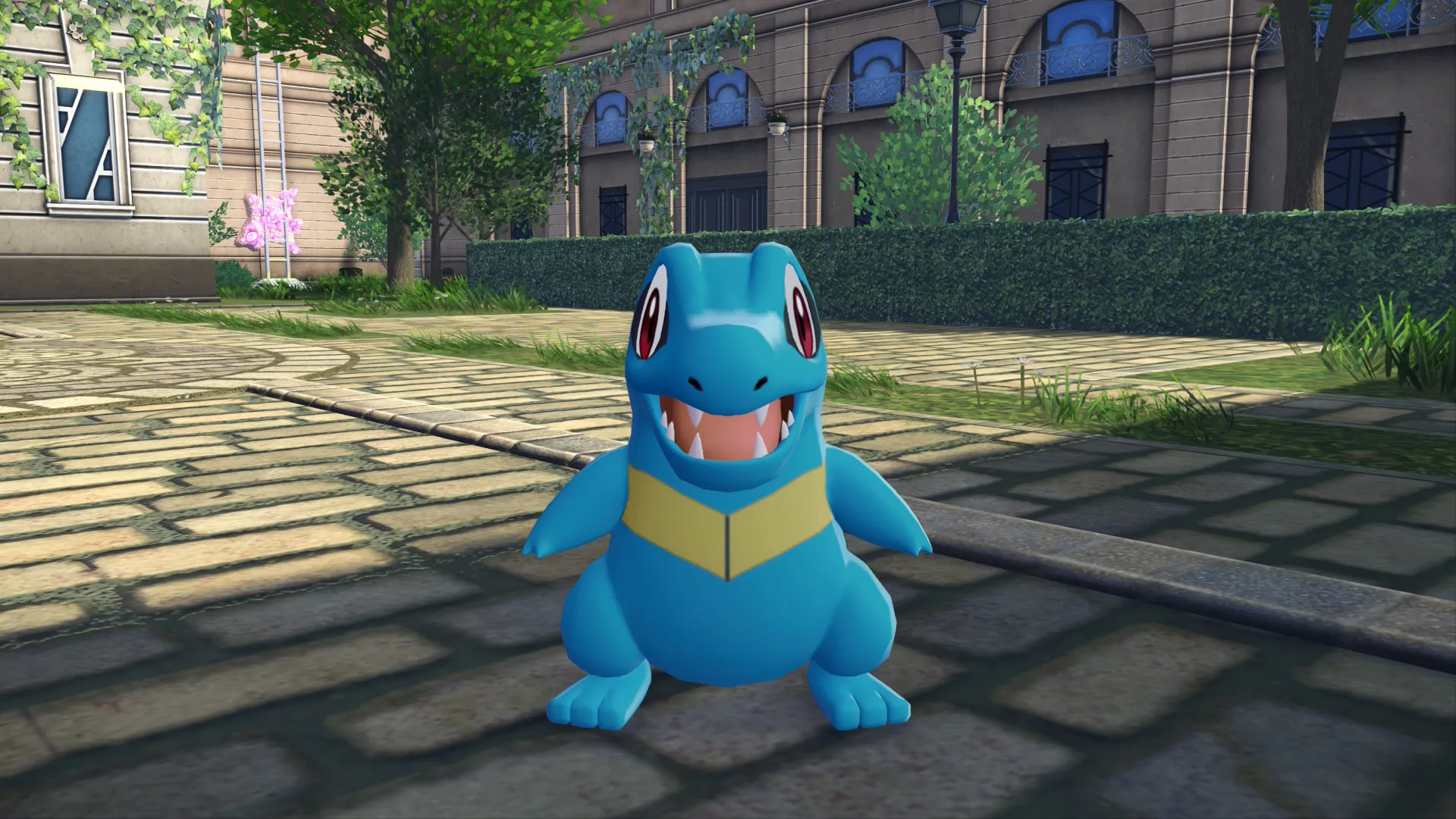 A Totodile staring at the camera with a blank-face experssion.